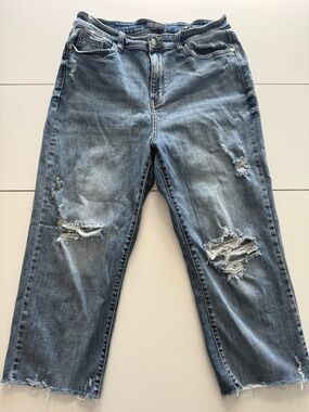 Judy Blue High-Rise Distressed Wide Leg Cropped Jeans